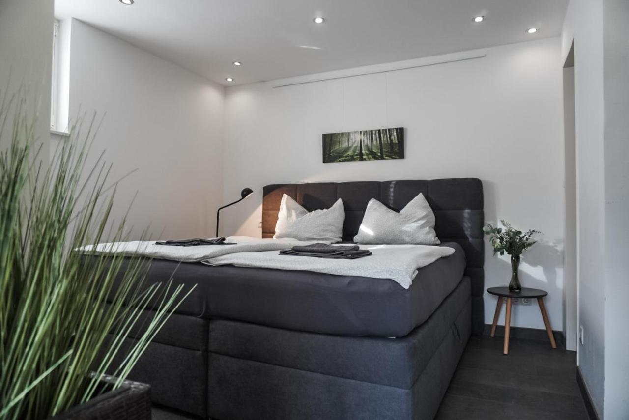 Neu Gebautes Apartment Mit Sonnenterasse In Der Naehe Vom Siebengebirge & Bonn Кёнигсвинтер Экстерьер фото